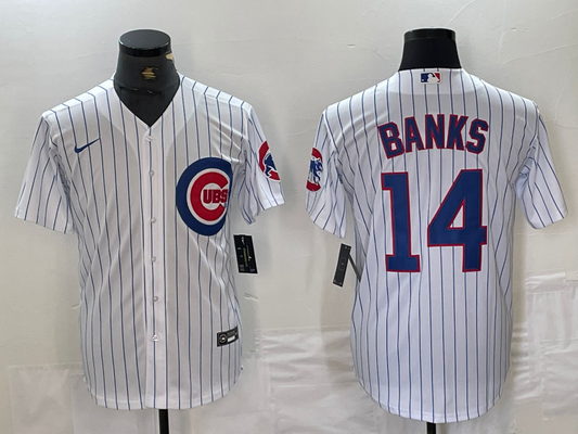 Men's Chicago Cubs Ernie Banks #14 White Replica Baseball jersey